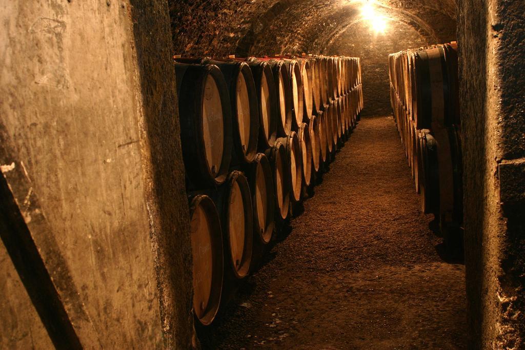 Maison D'Hotes Chandon De Briailles Savigny-les-Beaune Luaran gambar